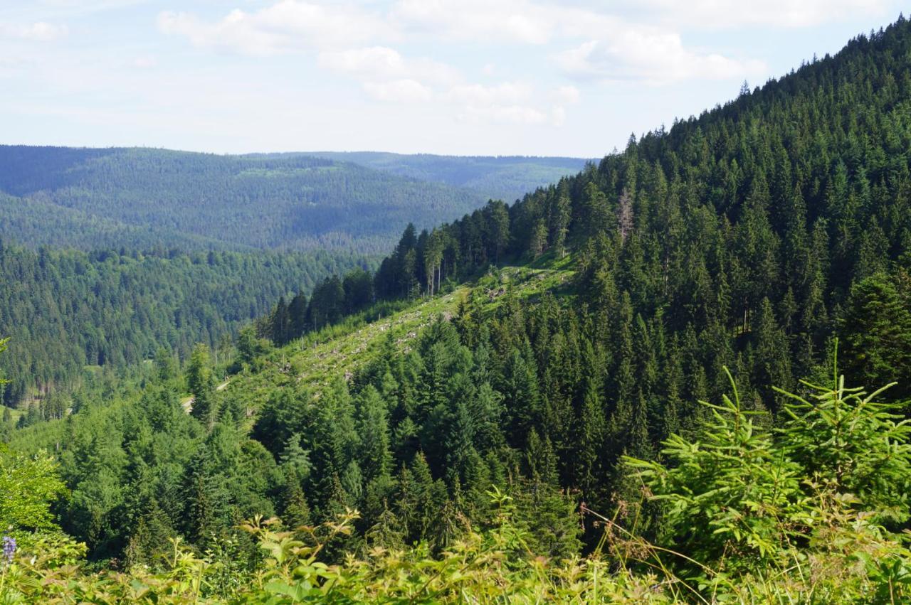 Black Forest Lodge Фройденштадт Экстерьер фото